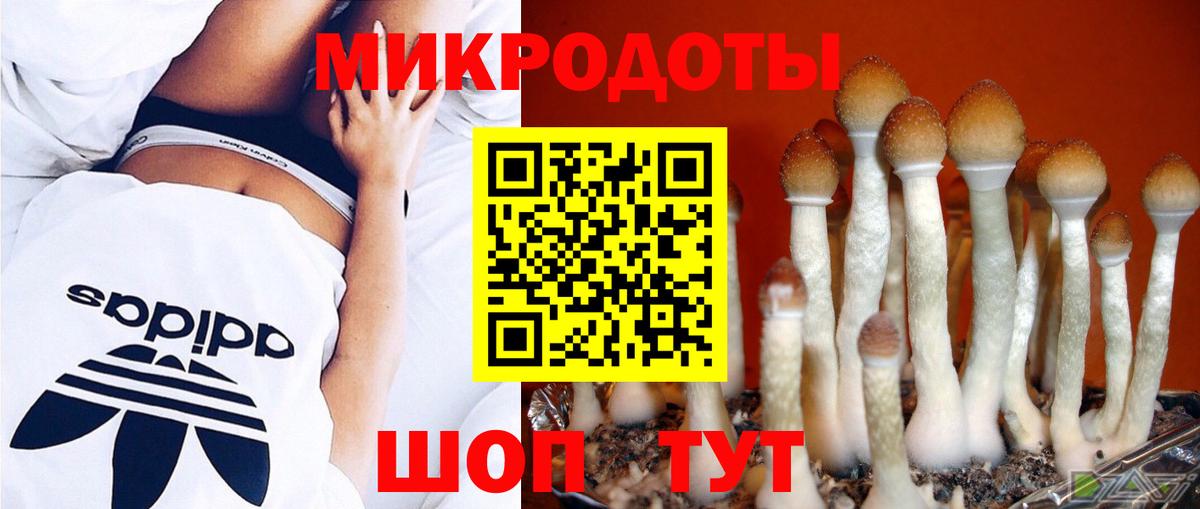 Псилоцибиновые грибы мицелий Ялта