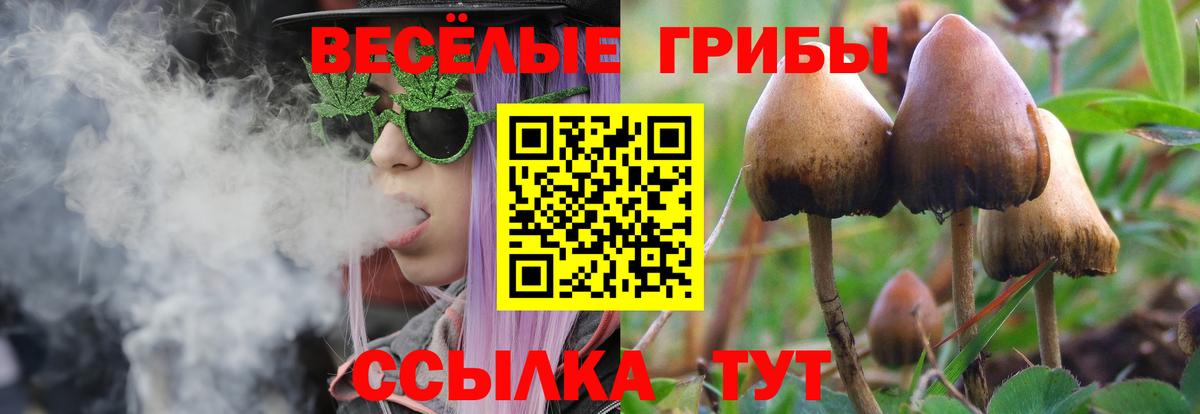 наркошоп  Вход с VPN  Ялта  Галлюциногенные грибы Psilocybe 